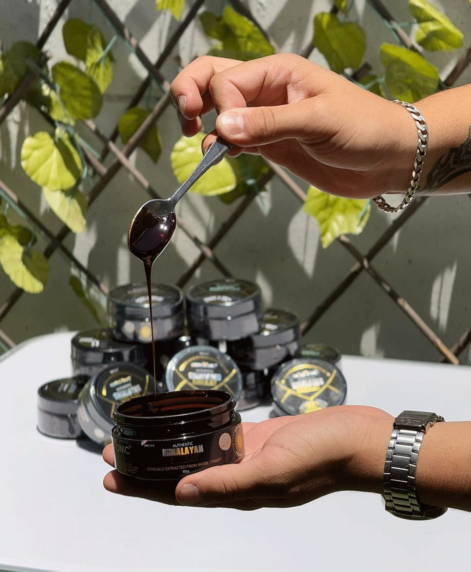 Himalayan Shilajit 80 g
