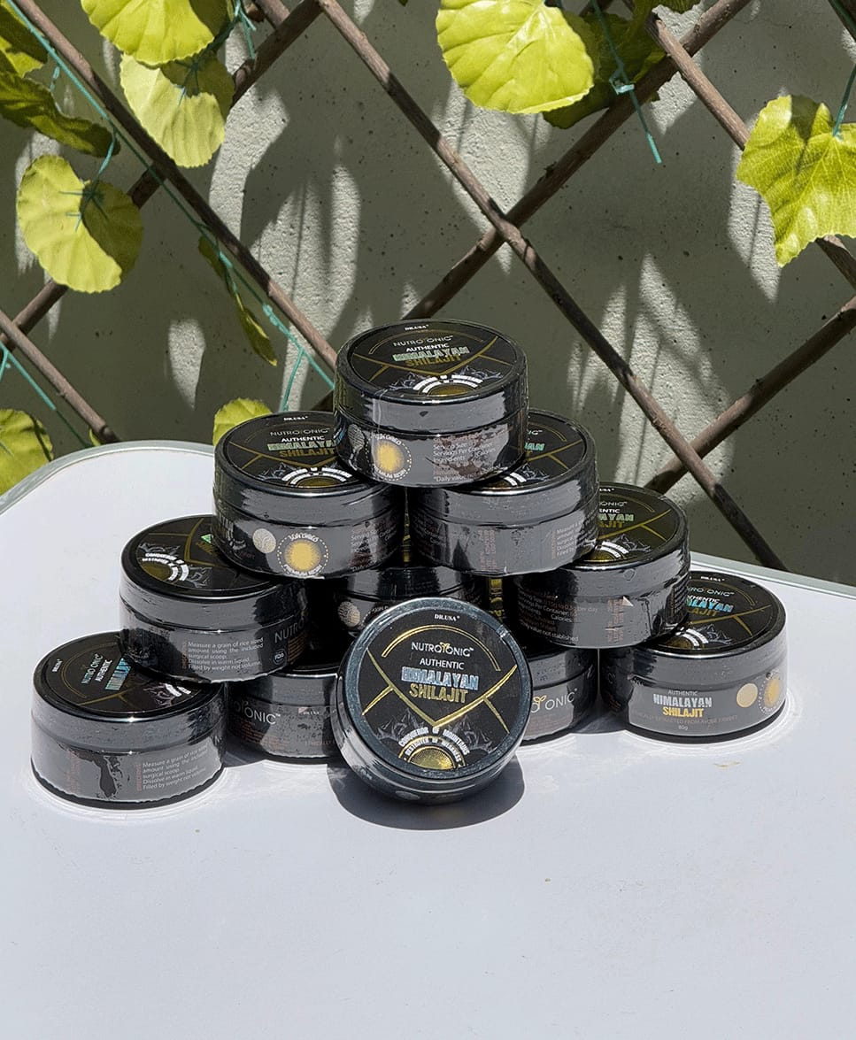 Himalayan Shilajit 80 g